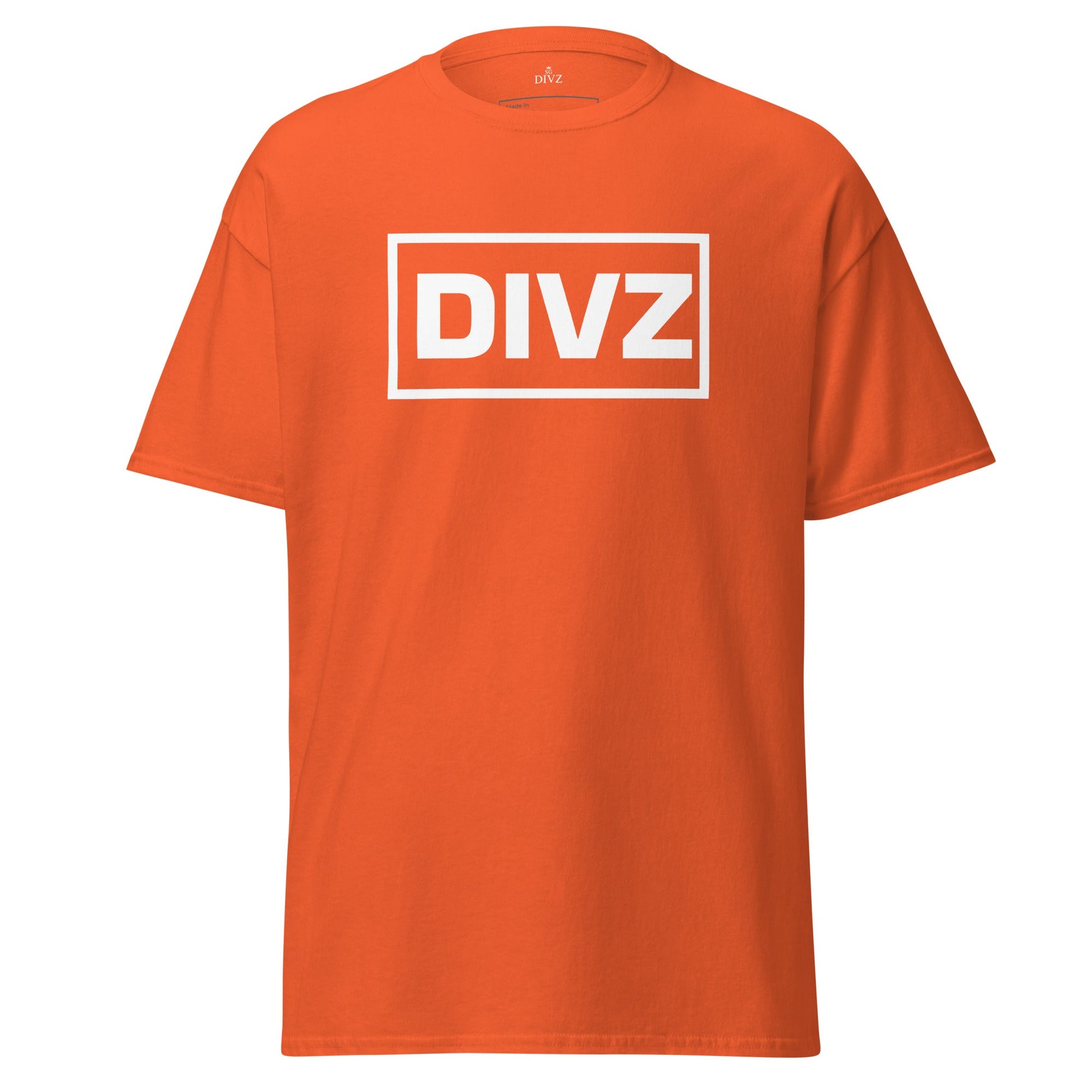 camisetaCamiseta Classic Divz - DIVZ.SG