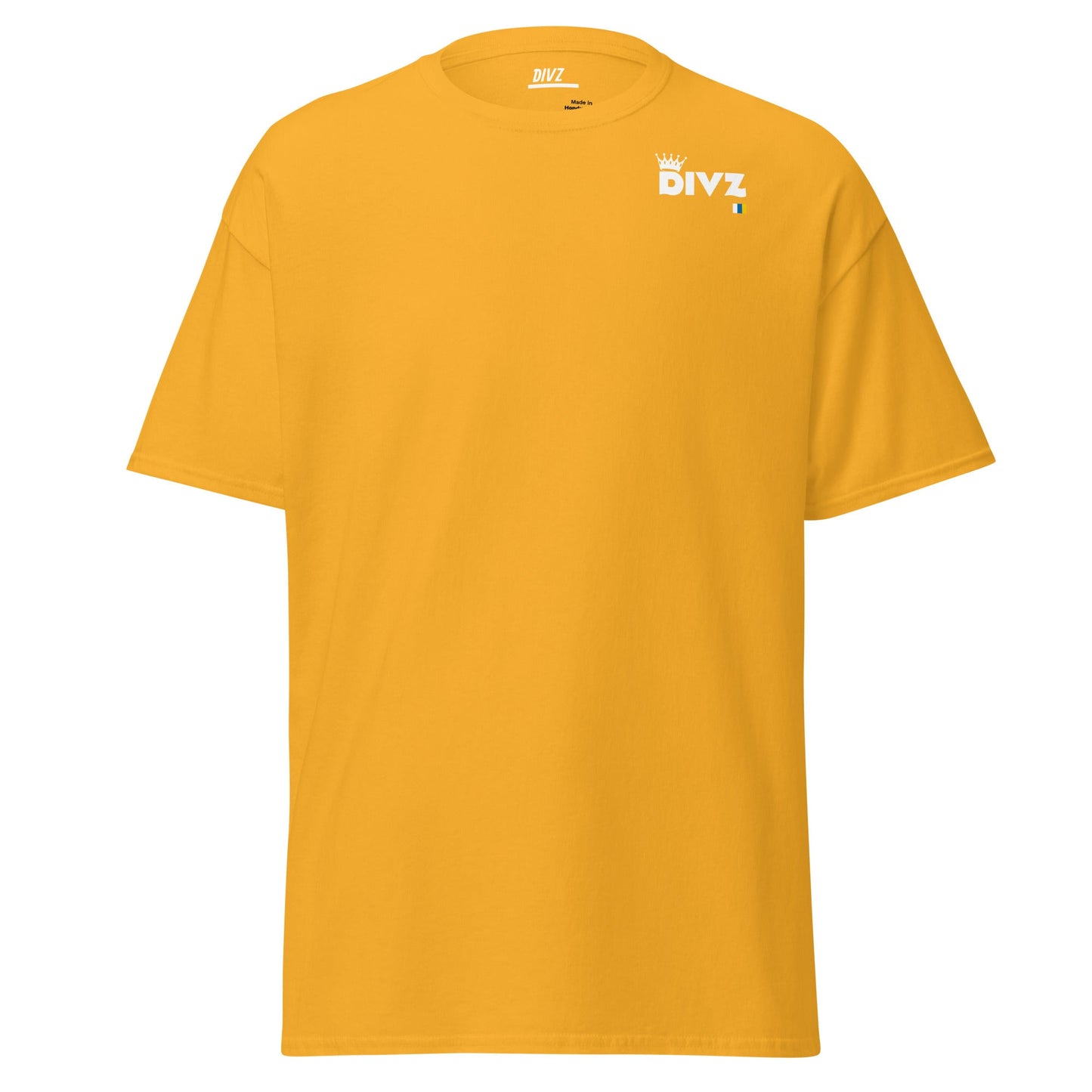 camisetaCamiseta Divz - DIVZ.SG