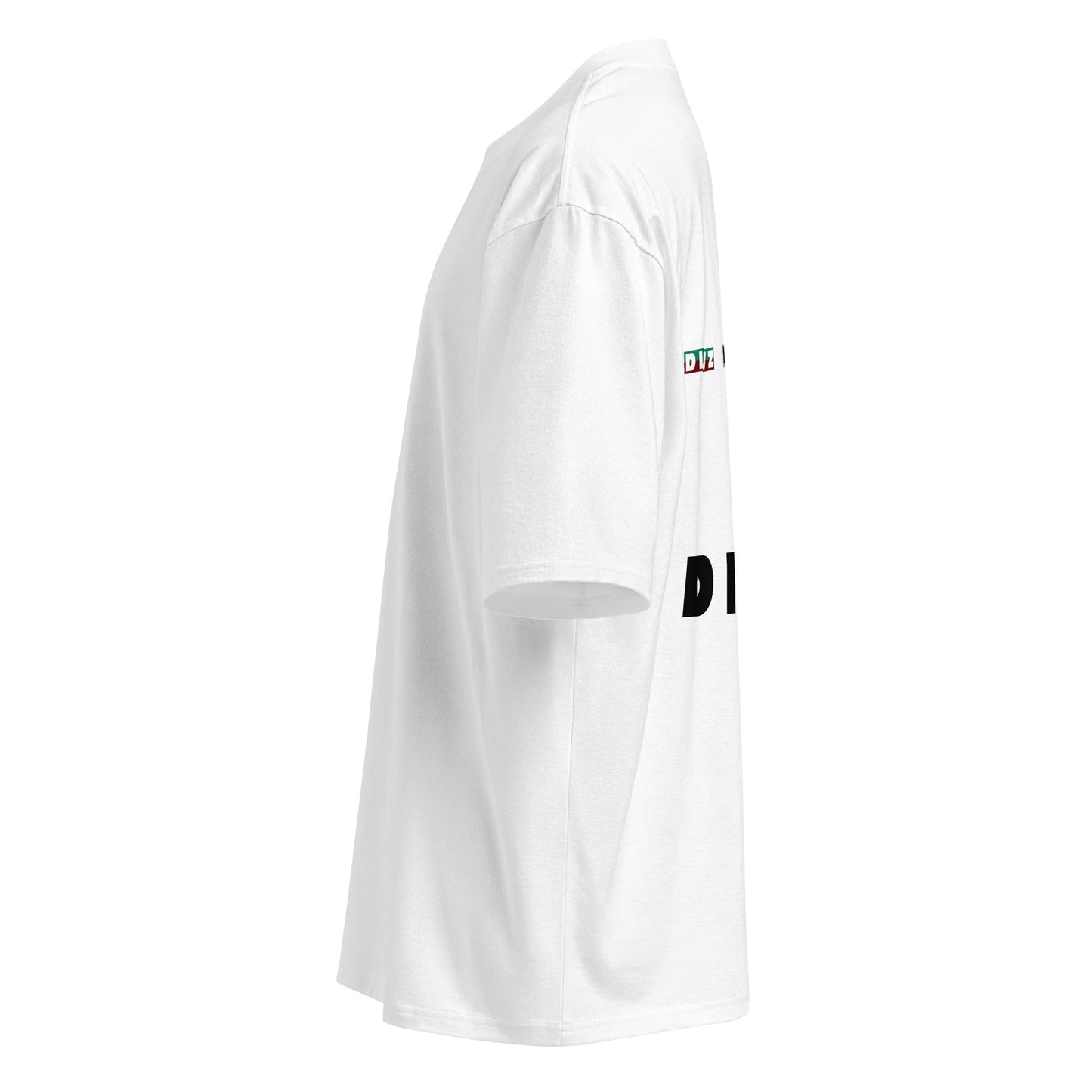 camisetaOversize gruesa Divz Flags - DIVZ.SG